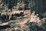 5000_0574.jpg